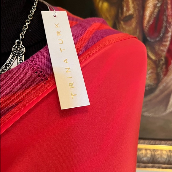 Trina Turk Chevron Pattern Knit Sleeveless Lined Dress, Lined, Large, NWT - Picture 5 of 9